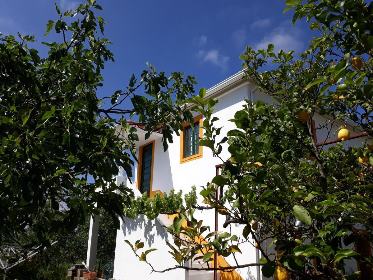 O Ninho Do Rei Apartment Vila de Rei Exterior foto